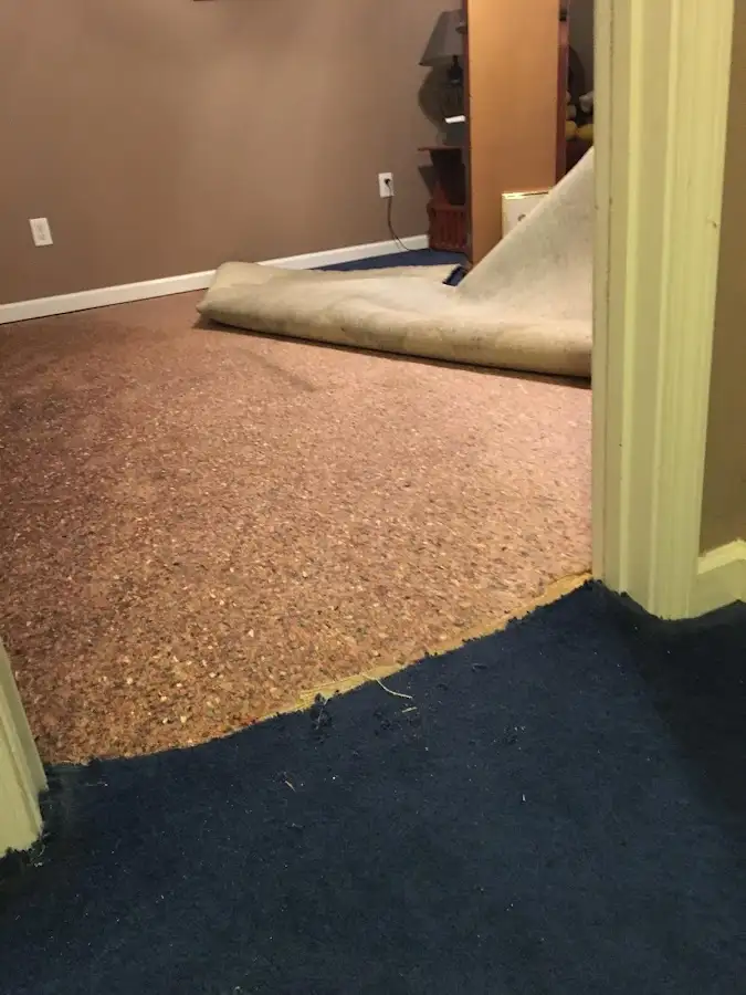 Carpet pad removal revealing water damage during Drying & Dehumidification in Manhattan Beach