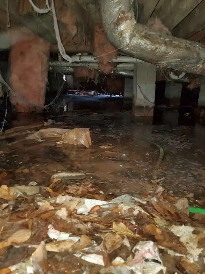 Crawl space flood assessment for Leak Detection & Repair in Manhattan Beach